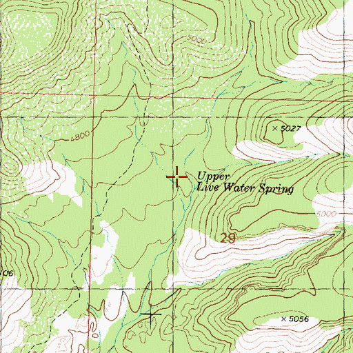 Topographic Map of Upper Live Water Spring, AZ