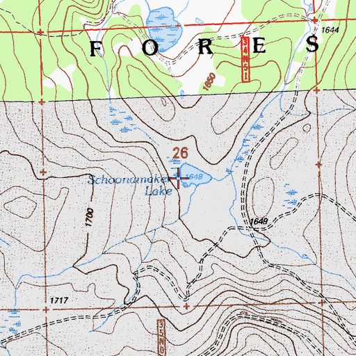 Topographic Map of Schoonamaker Lake, CA