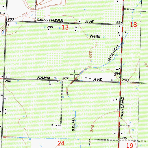 Topographic Map of Selma Branch, CA