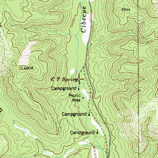 Topographic Map of C T Spring, AZ