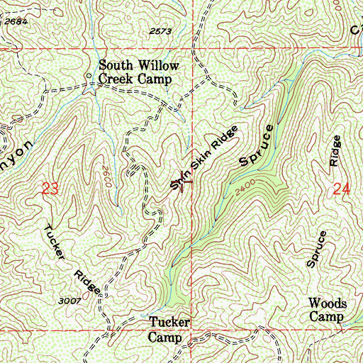 Topographic Map of Shin Skin Ridge, CA
