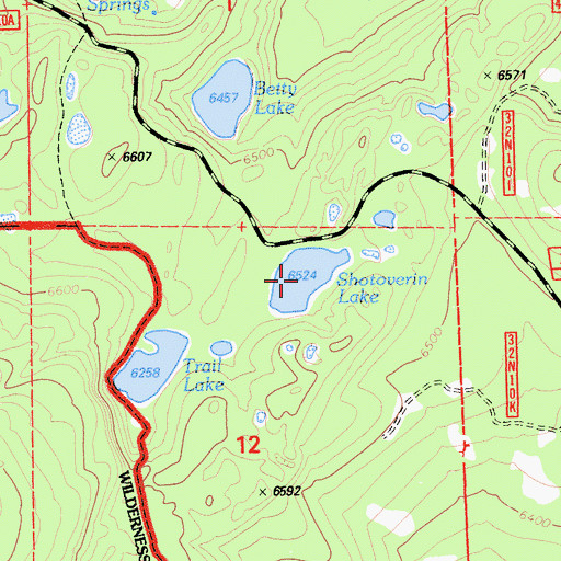 Topographic Map of Shotoverin Lake, CA