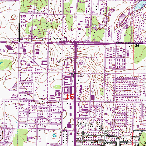 Topographic Map of Temple Terrace Police Chief, FL