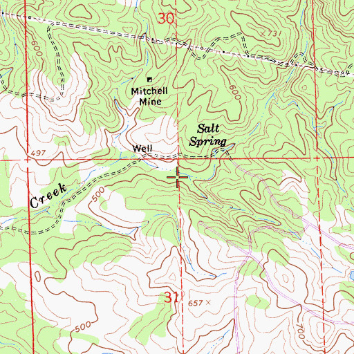 Topographic Map of Salt Spring Creek, CA