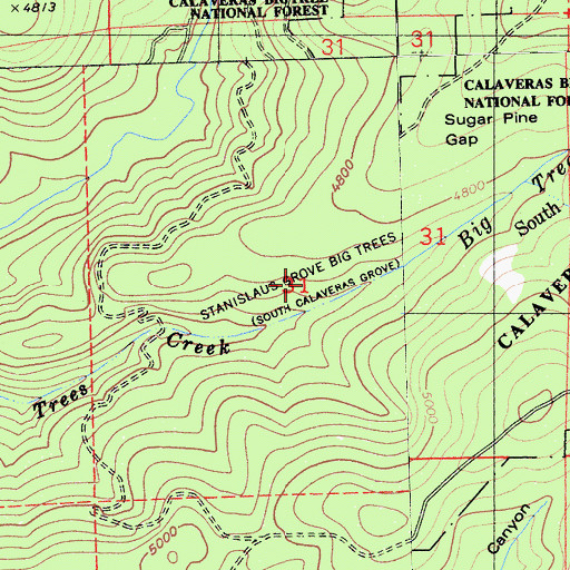 Topographic Map of Stanislaus Grove Big Trees, CA