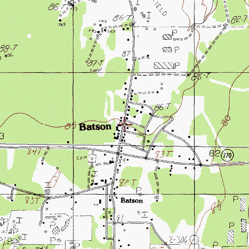 Topographic Map of Batson Volunteer Fire Department, TX