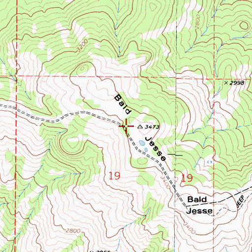 Topographic Map of Bald Jesse, CA