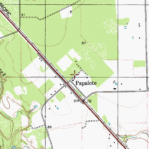 Topographic Map of Papalote Volunteer Fire Department, TX