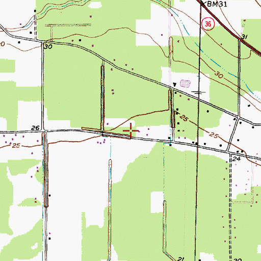 Topographic Map of Wild Peach Volunteer Fire Department, TX