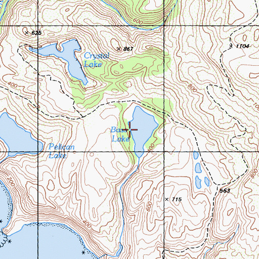 Topographic Map of Bass Lake, CA