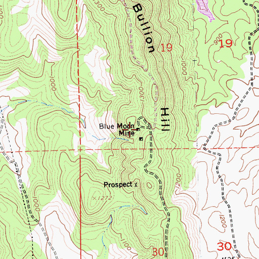 Topographic Map of Blue Moon Mine, CA