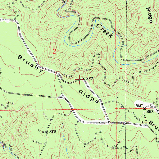 Topographic Map of Brushy Ridge, CA