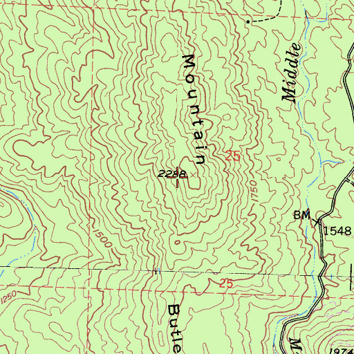Topographic Map of Butler Mountain, CA