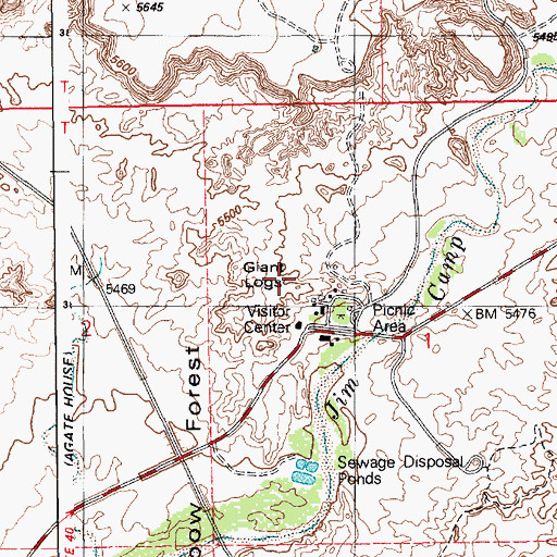 Topographic Map of Giant Logs, AZ