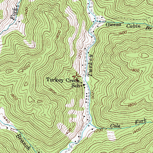 Topographic Map of Turkey Creek (historical), KY