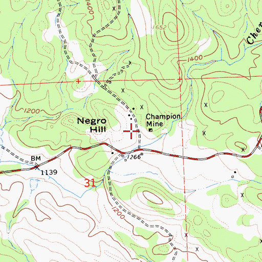 Topographic Map of Champion Mine, CA