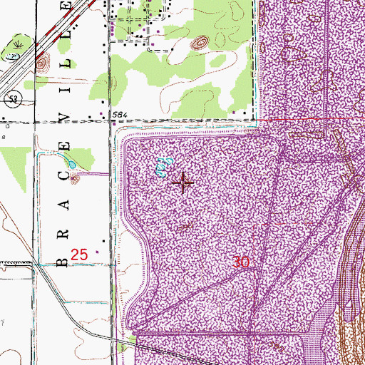 Topographic Map of Rixson Mine, IL