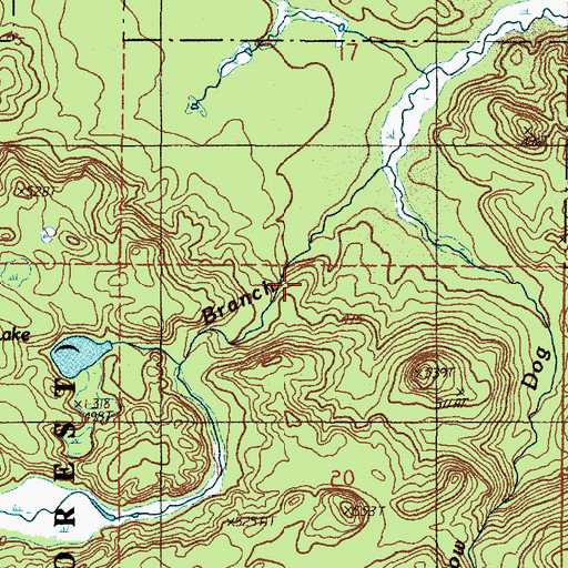 Topographic Map of West Branch Yellow Dog Falls, MI