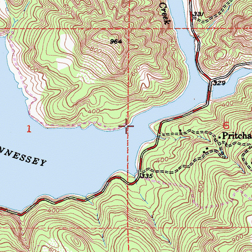 Topographic Map of Chiles Creek, CA