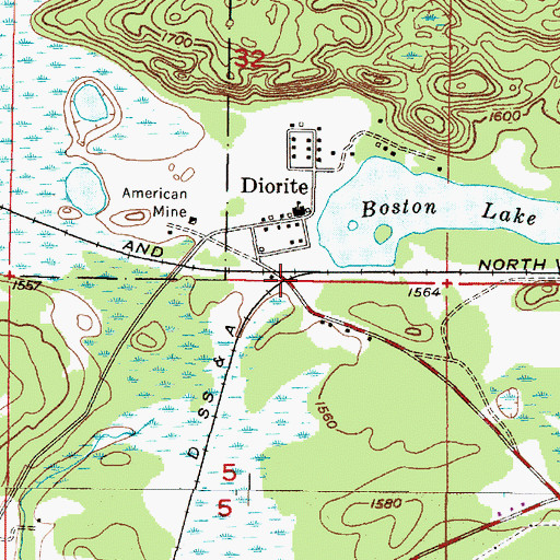 Topographic Map of Diorite Station, MI