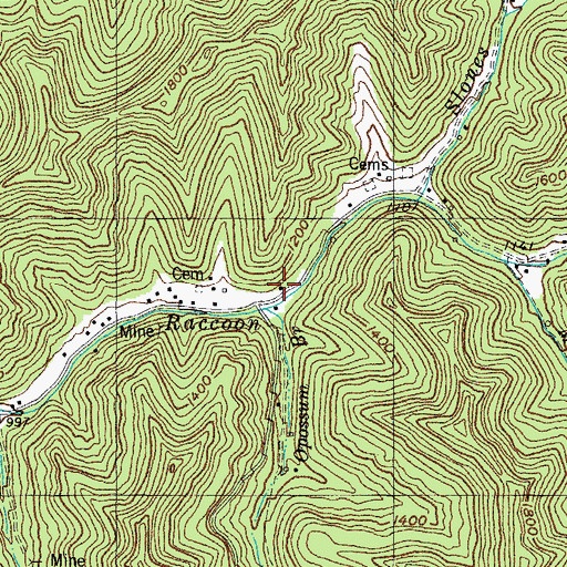 Topographic Map of The Head of Coon School (historical), KY
