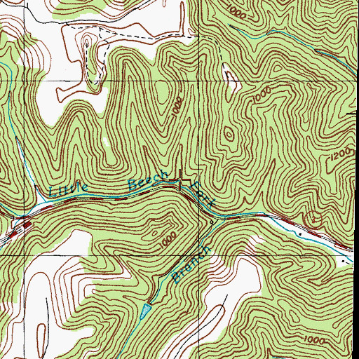 Topographic Map of Hog Branch Little Beech Fork, KY