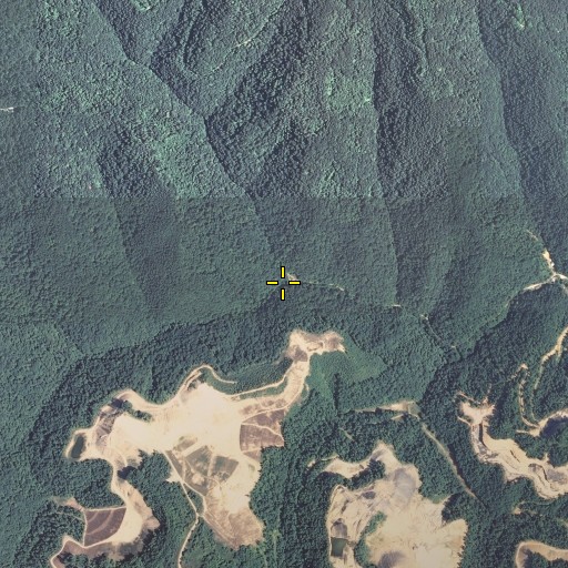 Aerial/Satellite Image of Rush Fork, KY