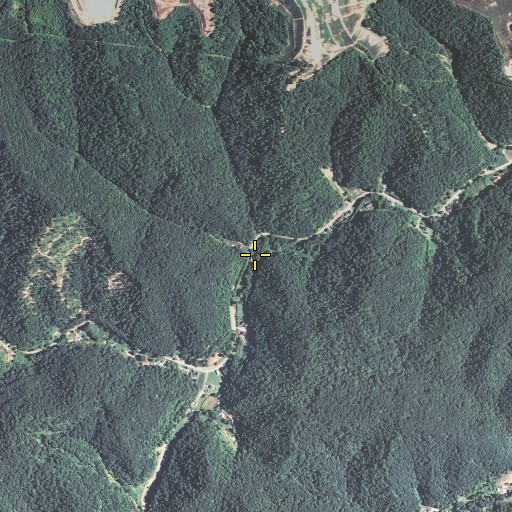 Aerial/Satellite Image of Upper Twin Branch, KY