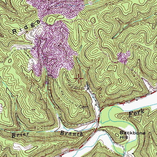 Topographic Map of Brushy School (historical), KY