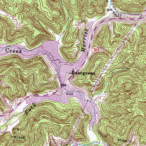 Topographic Map of Evergreen School (historical), KY