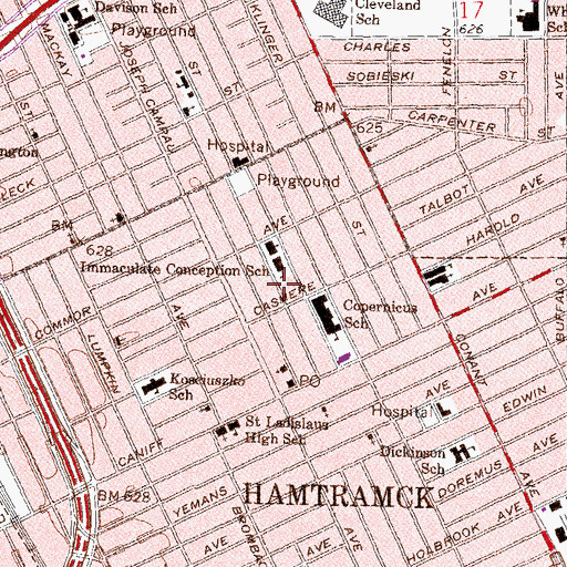 Topographic Map of Ukrainian Catholic Church of the Immaculate Conception, MI