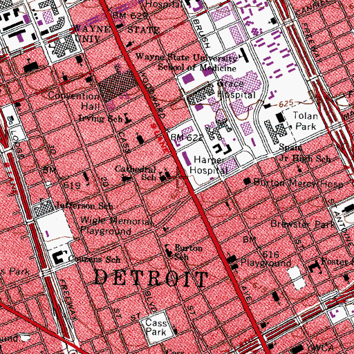Topographic Map of Saint Patricks Parish, MI