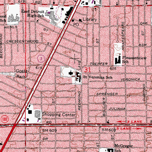 Topographic Map of Saint Veronica Church, MI