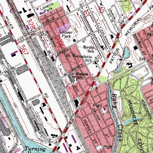 Topographic Map of Salina Intermediate School, MI