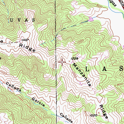 Topographic Map of Manzanita Ridge, CA