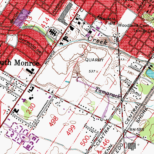 Topographic Map of Foodtown Shopping Plaza Shopping Center, MI