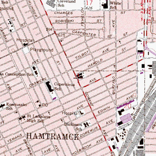 Topographic Map of Hamtramck Academy, MI