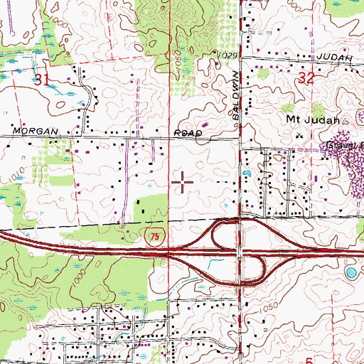 Topographic Map of Baldwin Commons Shopping Center, MI