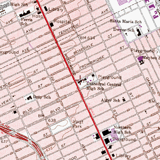 Topographic Map of Blessed Sacrament Cathedral, MI