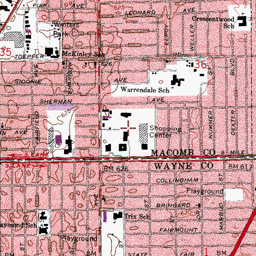 Topographic Map of Carousel Shopping Center, MI