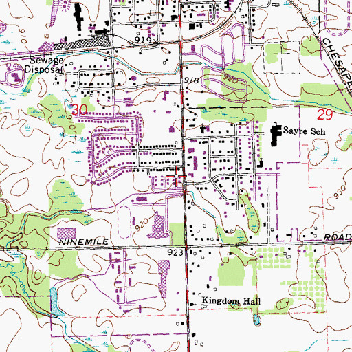 Topographic Map of Chapman Academy, MI
