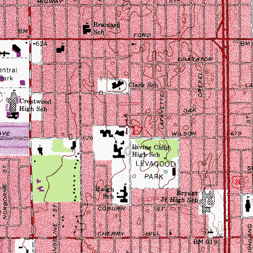 Topographic Map of Divine Child Church, MI