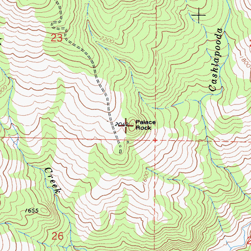 Topographic Map of Palace Rock, CA