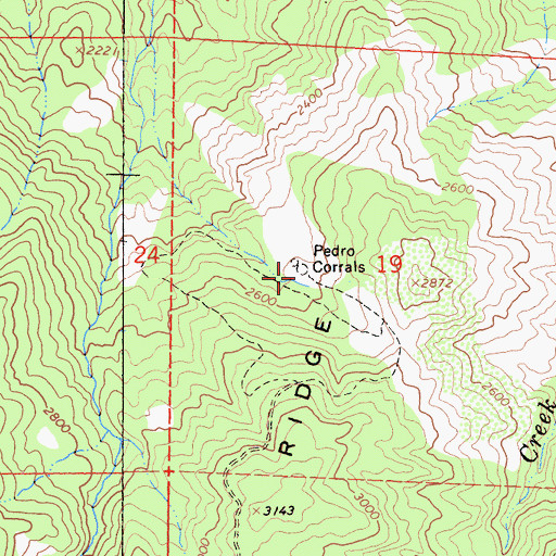 Topographic Map of Pedro Corrals, CA