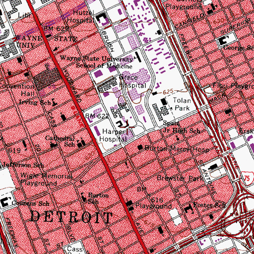 Topographic Map of Rehabilitation Institute of Michigan, MI