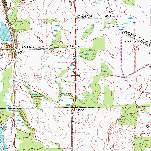 Topographic Map of Rose Pioneer Elementary School, MI