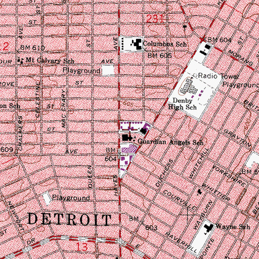 Topographic Map of Saint Jude's Home for Boys, MI