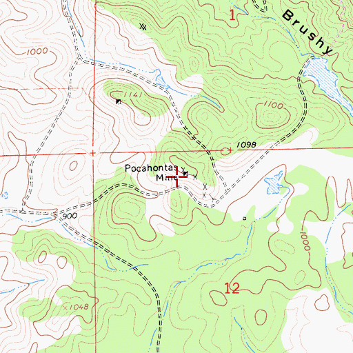 Topographic Map of Pocahontas Mine, CA