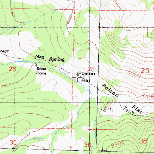 Topographic Map of Poison Flat, CA