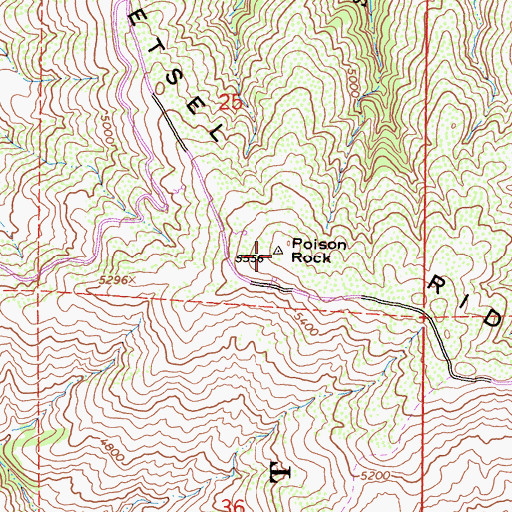 Topographic Map of Poison Rock, CA